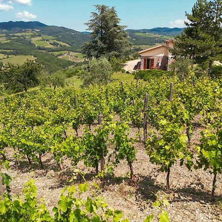 Tenuta Il Poggetto Radda in Chianti Kültér fotó