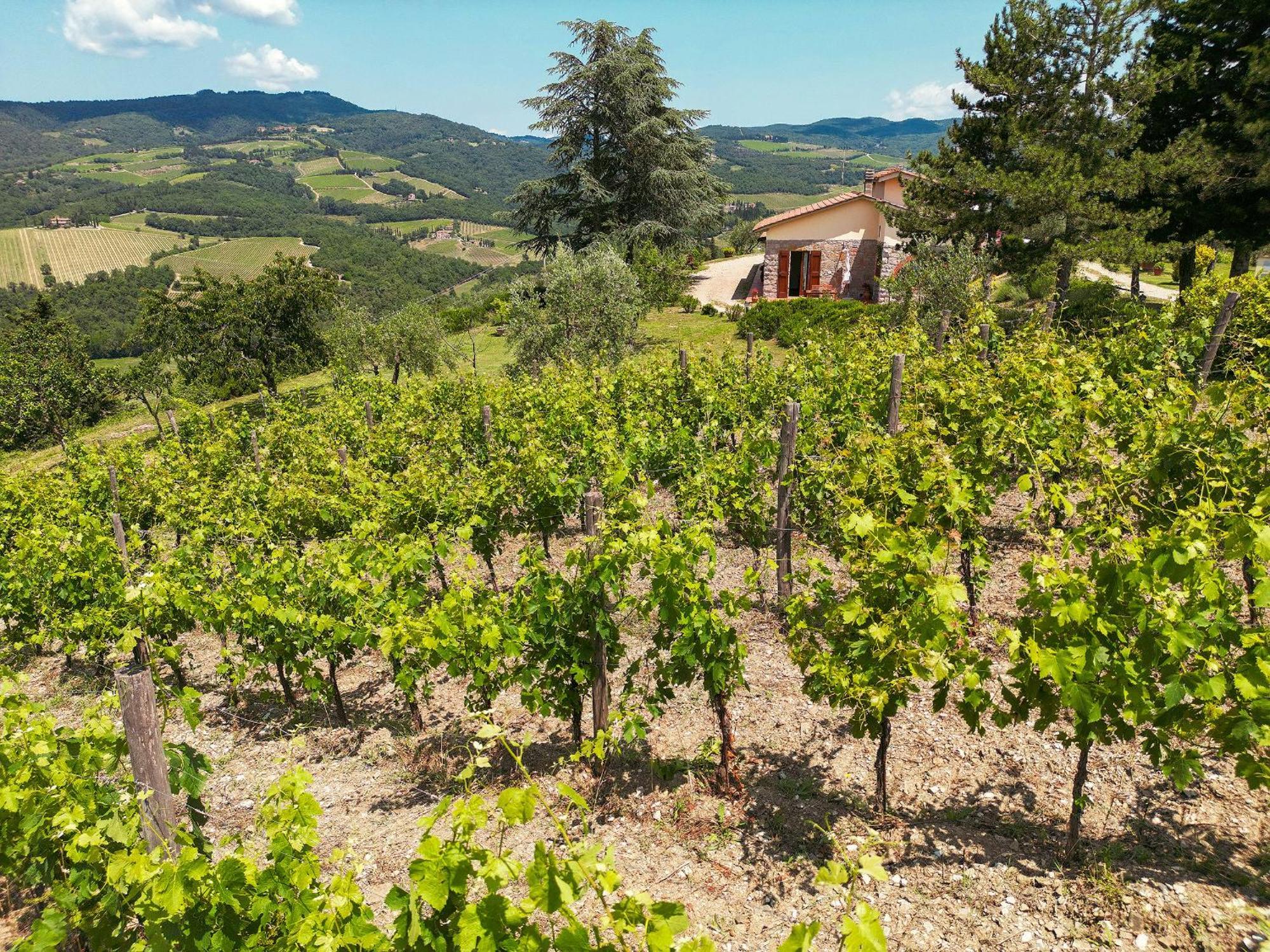 Tenuta Il Poggetto Radda in Chianti Kültér fotó