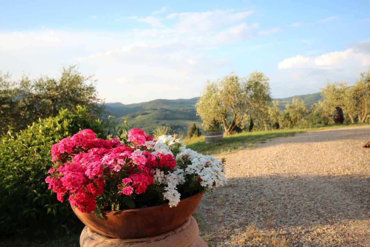 Tenuta Il Poggetto Radda in Chianti Kültér fotó